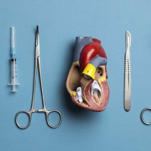 view-anatomic-heart-model-educational-purpose-with-medical-instruments
